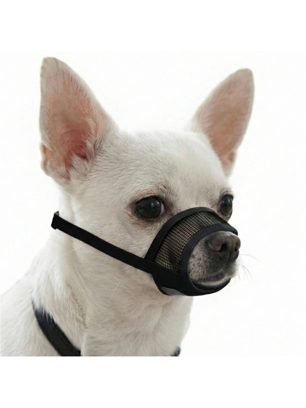 Mesh No-Bite Dog Muzzle for XSmall Pets - New Black Evollax with Directions
